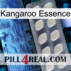 Kangaroo Essence 34